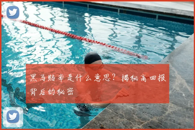 黑马赔率是什么意思?揭秘高回报背后的秘密